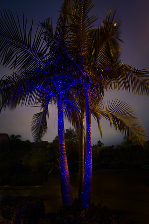 Sparkle Magic Illuminator- 4.0 Series - Laser Light - Indigo Twilight - Blue - Image 4